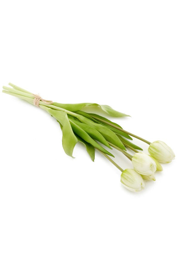 Tulip Bundle - Light Green