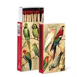 Matches Exotic Birds