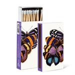 Matches Butterfly Study