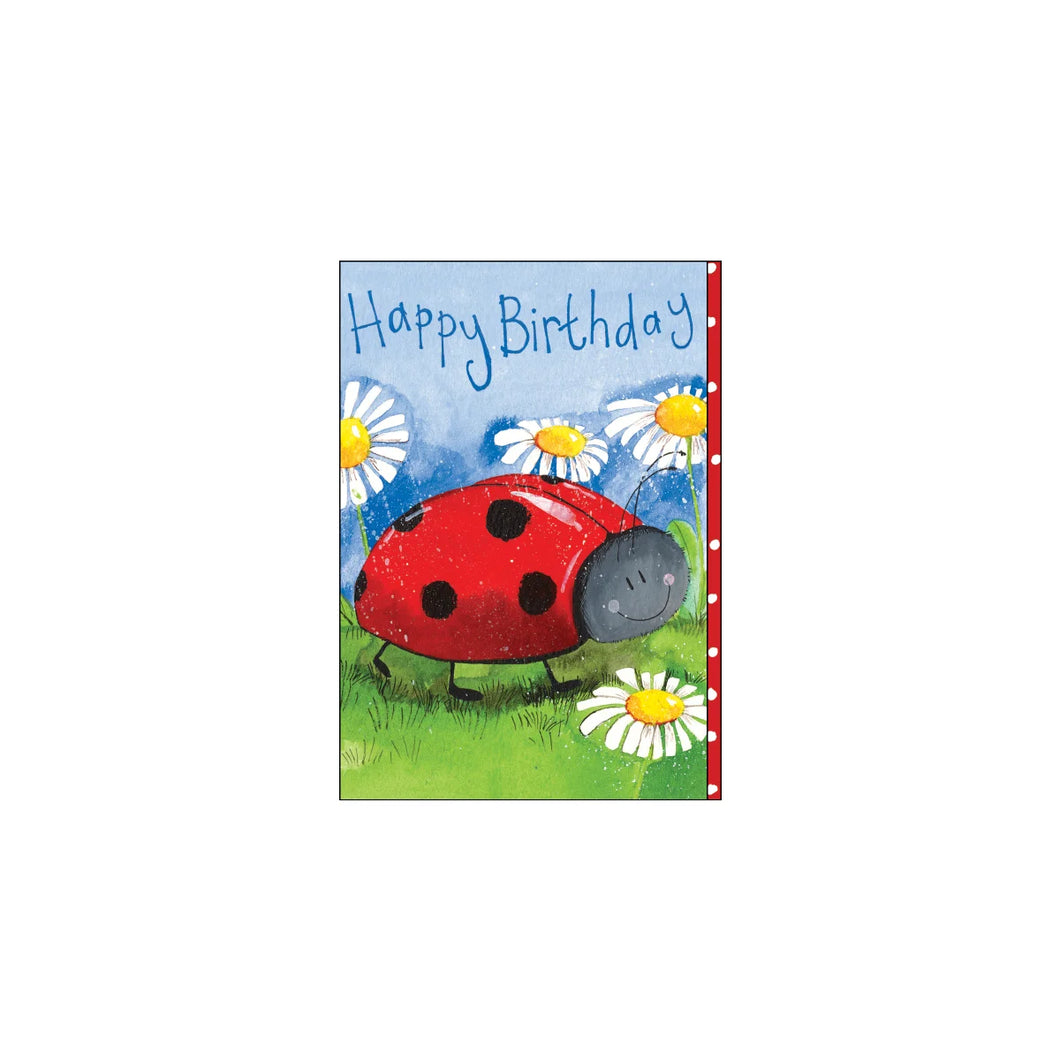 Little Ladybird Card