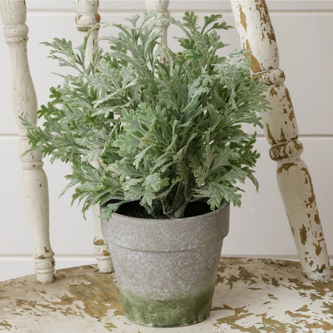 Faux Potted Dusty Miller