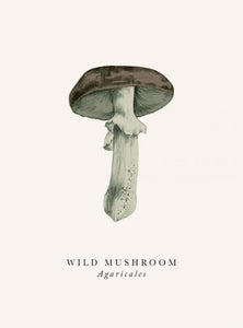 Card Blank Card Wild Mushroom