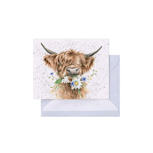 Gift Enclosure 'DAISY COO' HIGHLAND COW