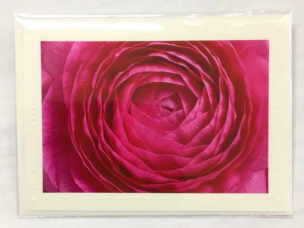 Fuchsia Rose Blank Card